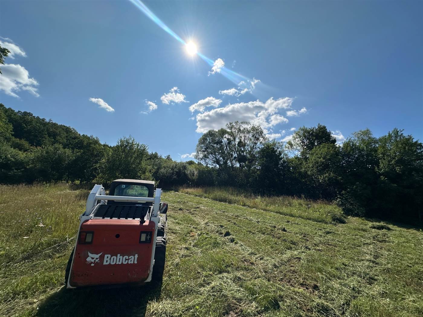 Bobcat S205 s mulčovačom pri čistení pozemku